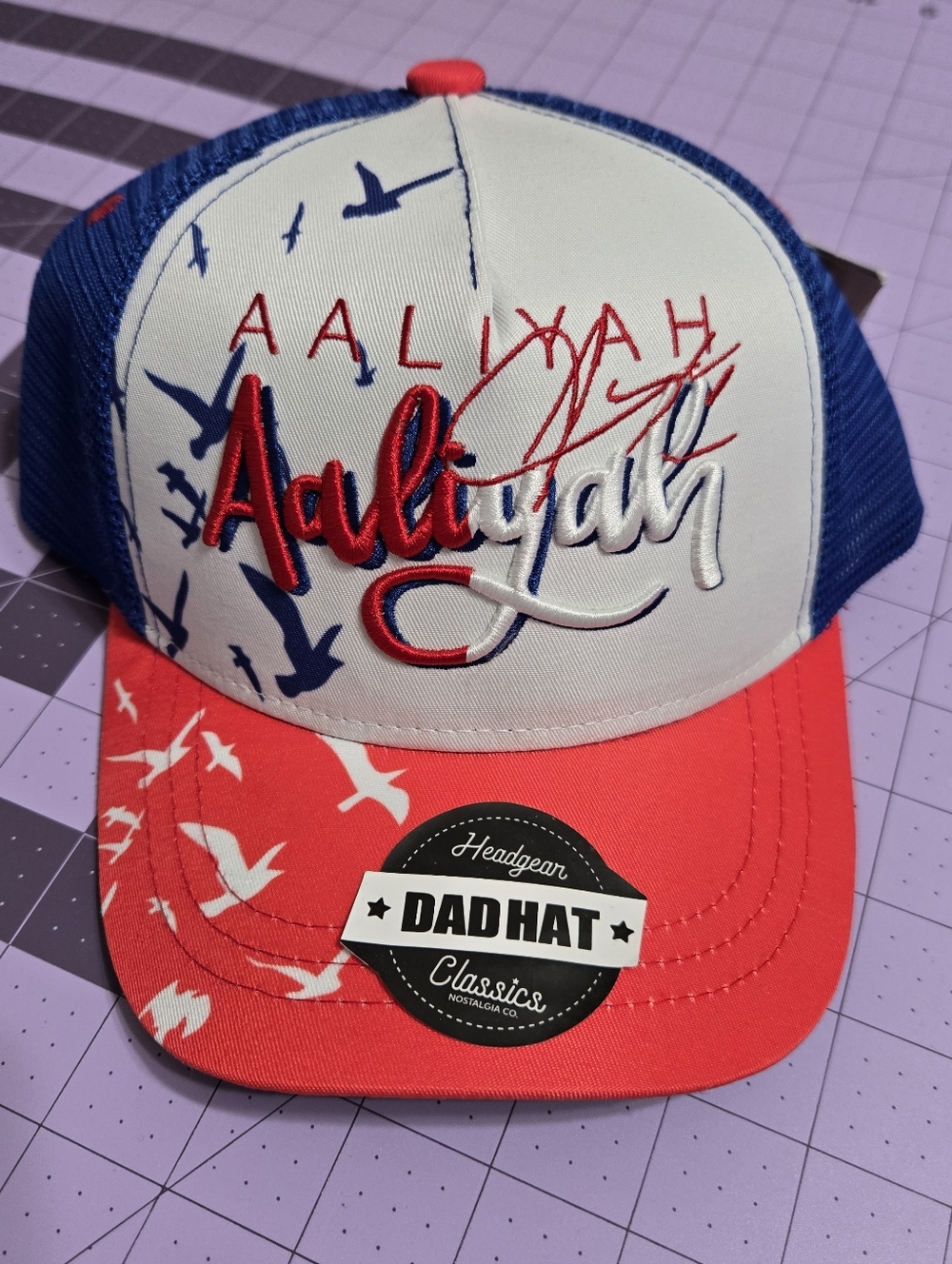 Y2k AALIYAH FASHIONISTA TRUCKER HAT